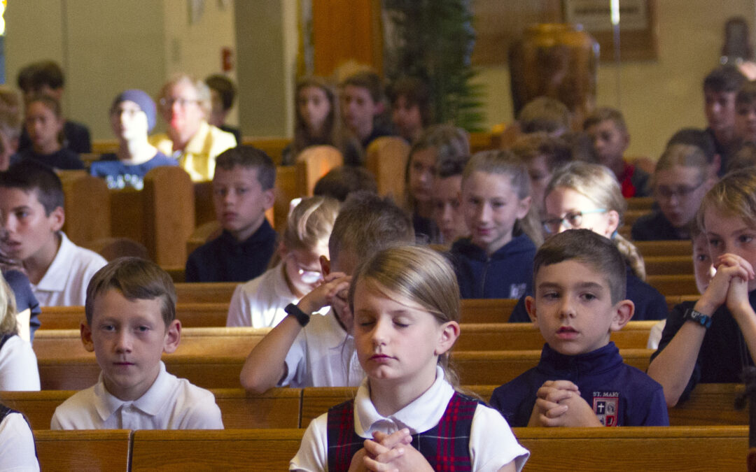 Welcome Back to School!